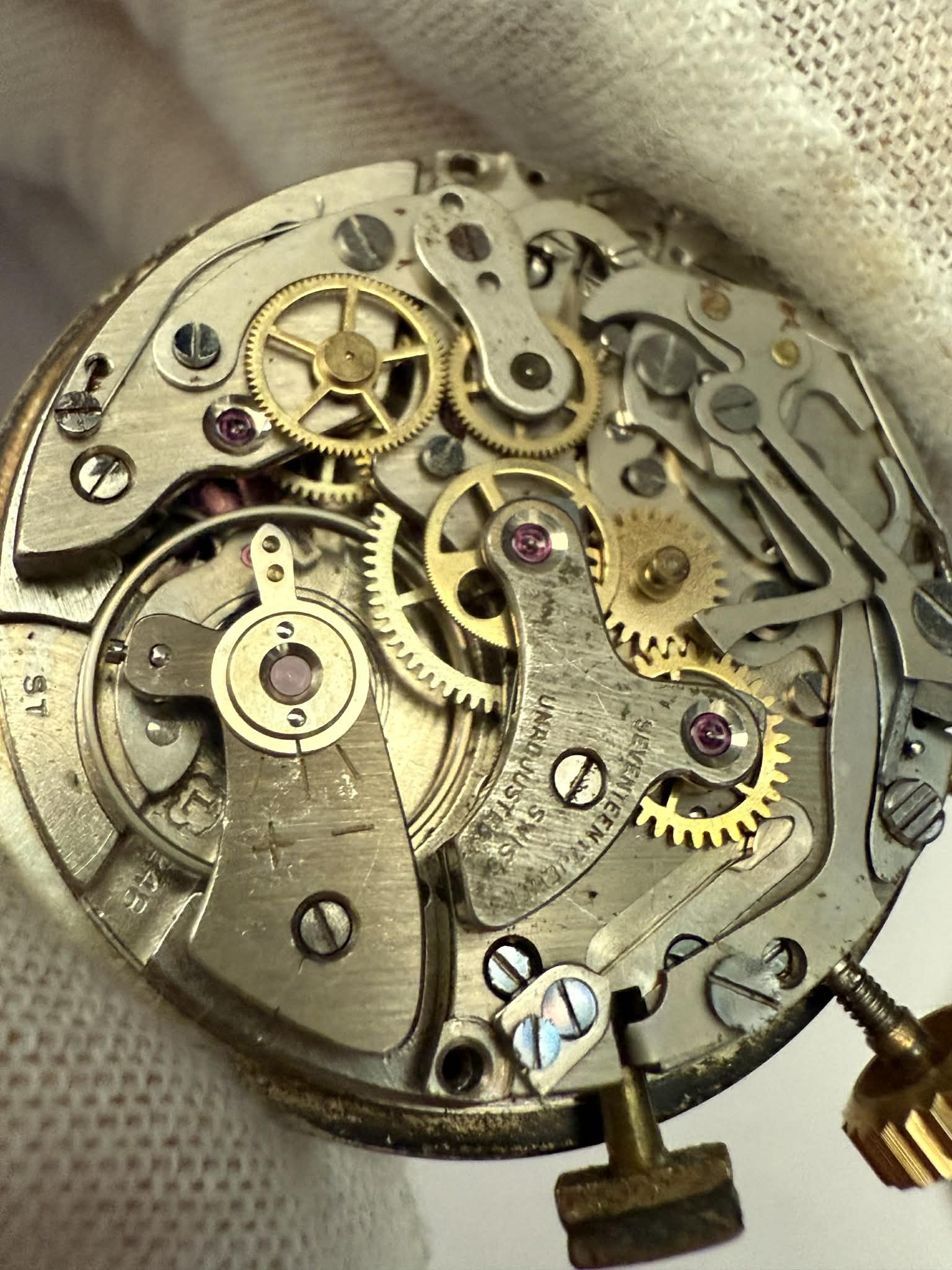 Monvis Landeron 248 image 7