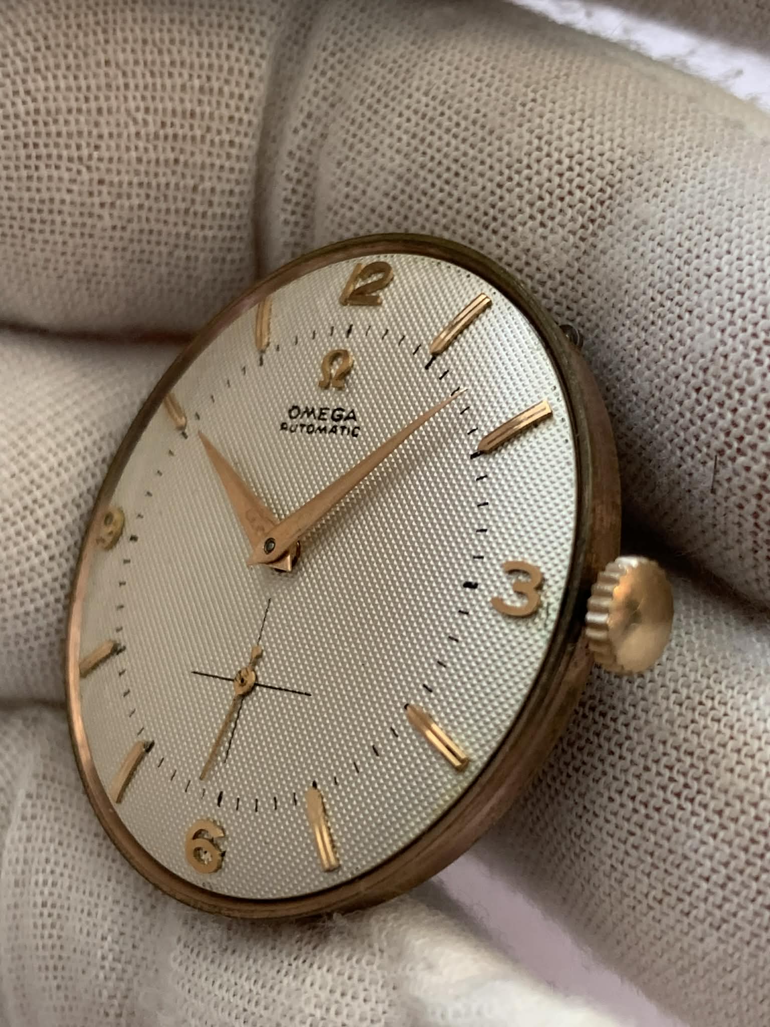 Omega Moviment Jambo image 2