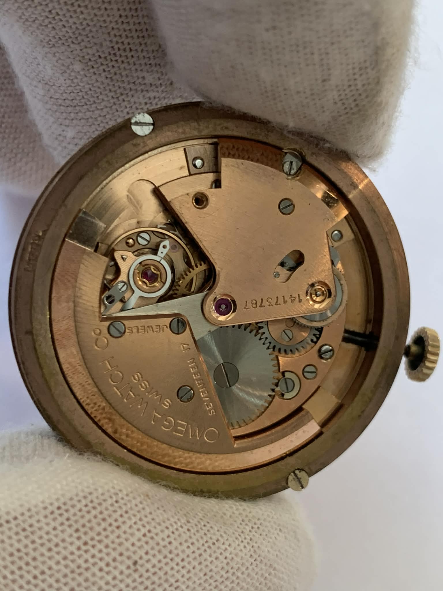 Omega Moviment Jambo image 3