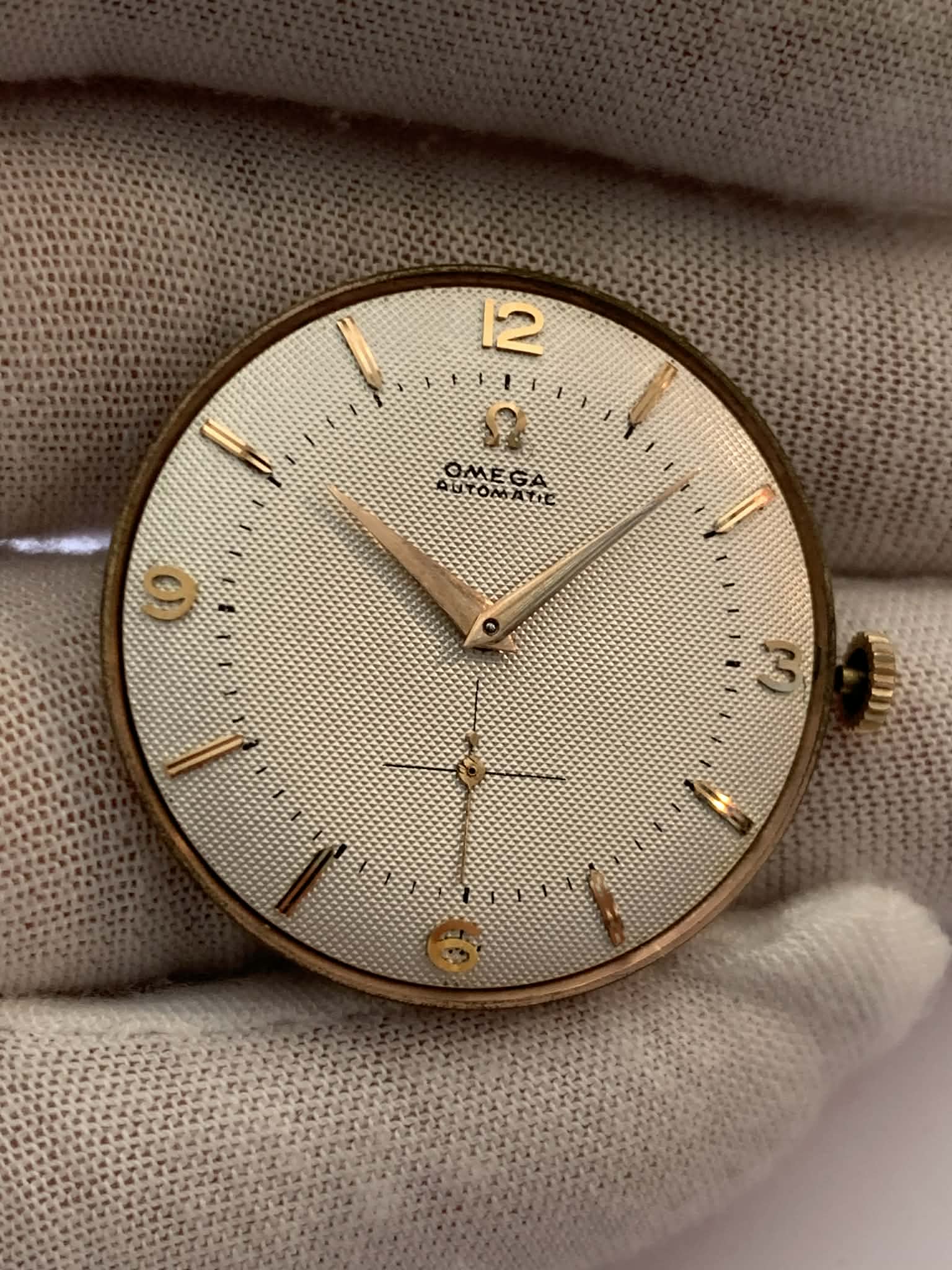 Omega Moviment Jambo image 4