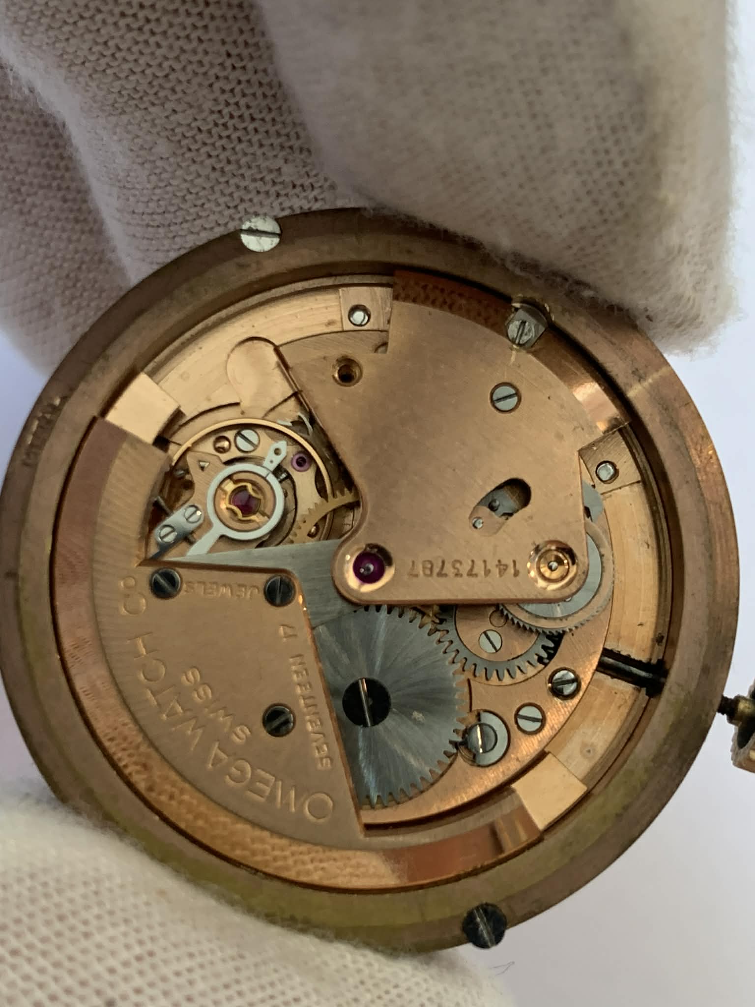 Omega Moviment Jambo image 5