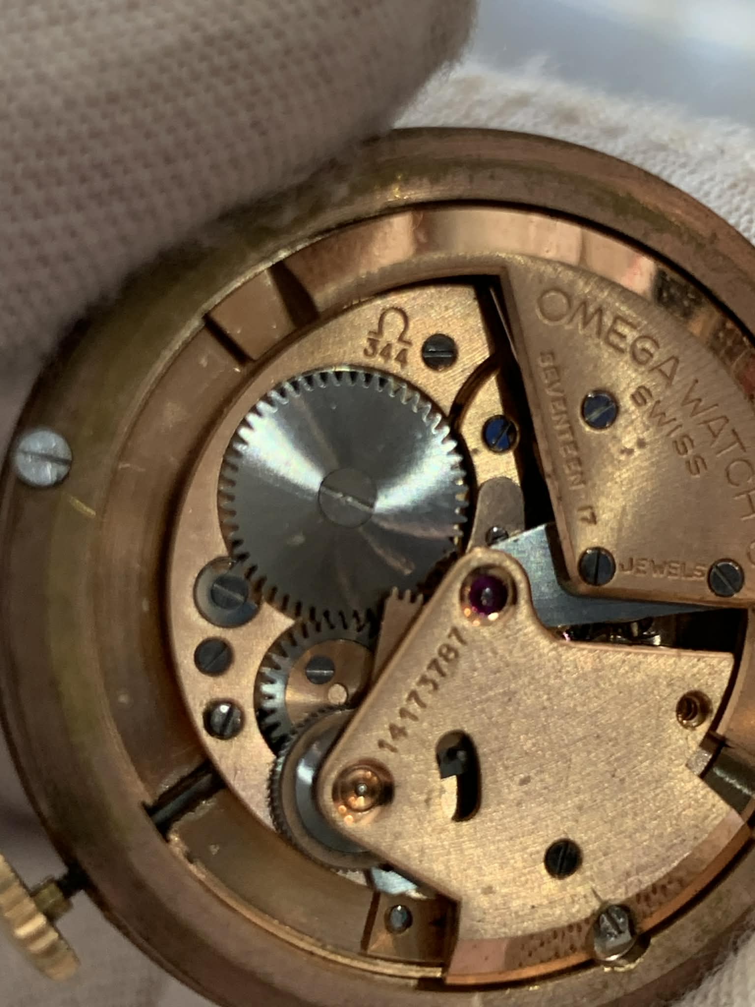 Omega Moviment Jambo image 6