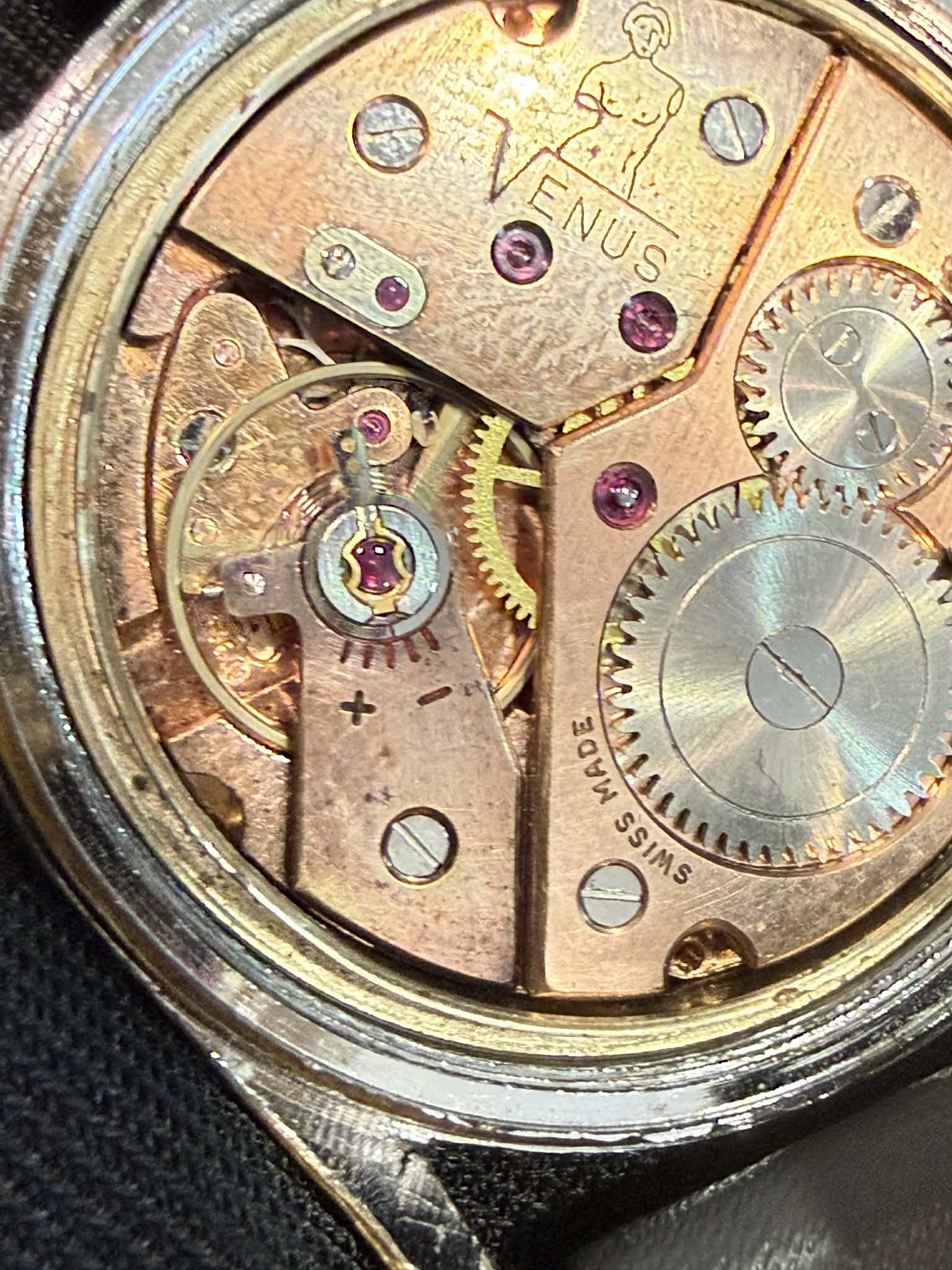 venus-super-611364 image 2