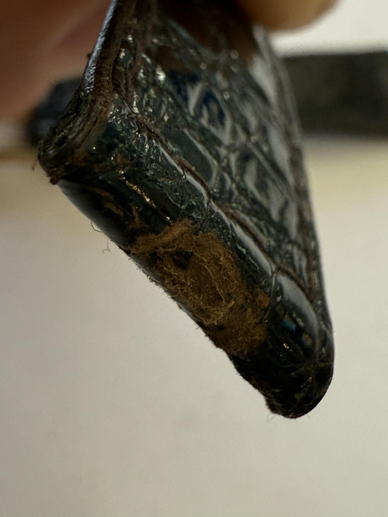 zenith-lather-18x15mm image 8